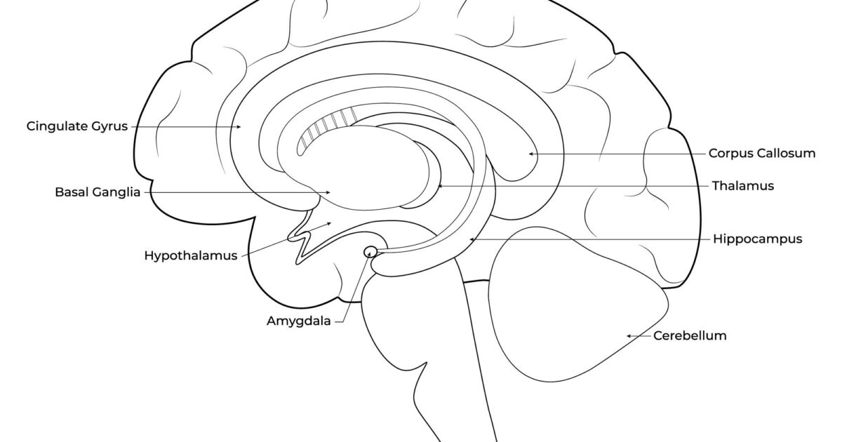 Neuro Storming 2026: Causes, Treatment, and Latest Insights