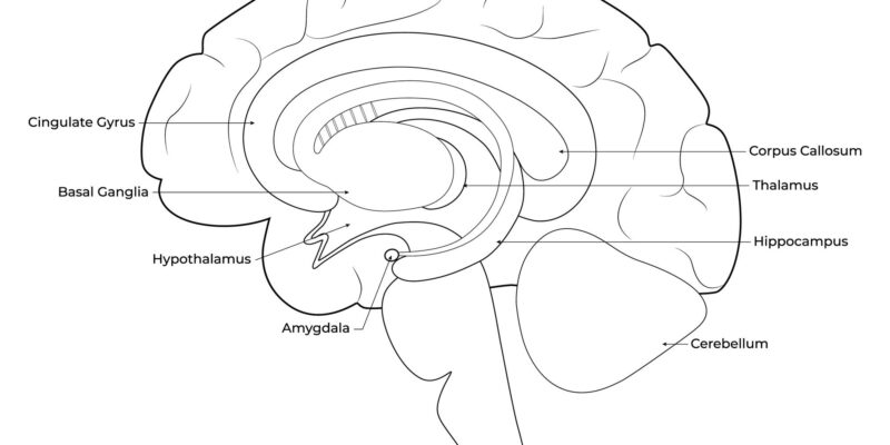 Neuro Storming 2026: Causes, Treatment, and Latest Insights