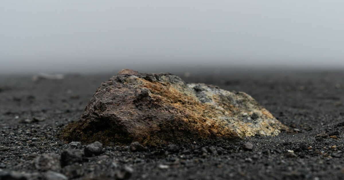 Earth Origins Shoes: Sustainable Style & Comfort in 2026