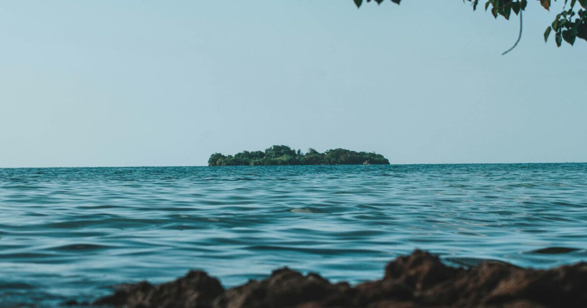 876 Area Code: Your Guide to Jamaica’s Location in 2026