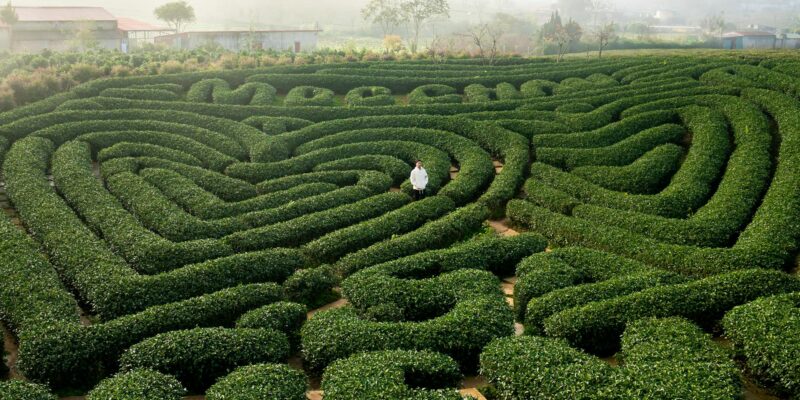 Reinforcement Learning Tutorial: Your First Steps