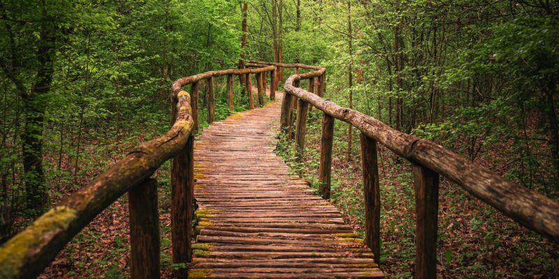 Recommended AI Learning Path: Your Guide to Success in 2026