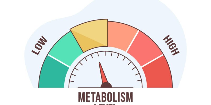 The Ultimate Guide to Delicious Low Calorie Wine in 2026