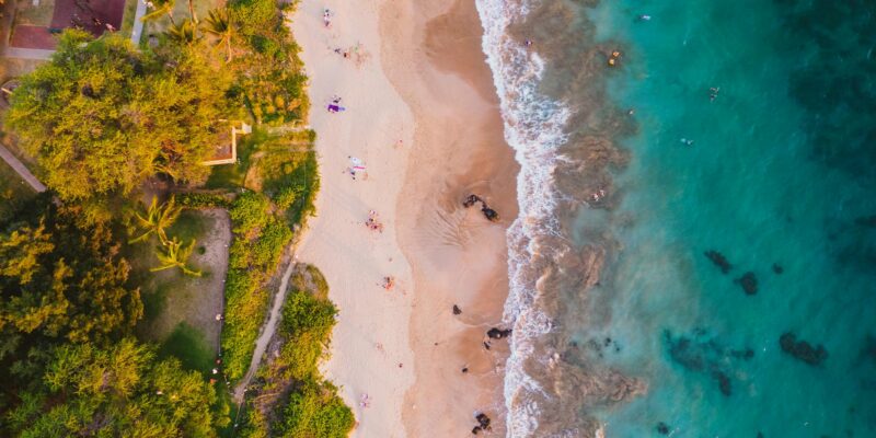 Maui Waui Strain: Effects, Genetics & Where to Find It in 2026