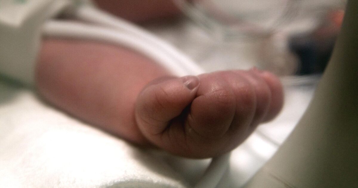 Micro Preemie’s Journey: From NICU to Home in 2026