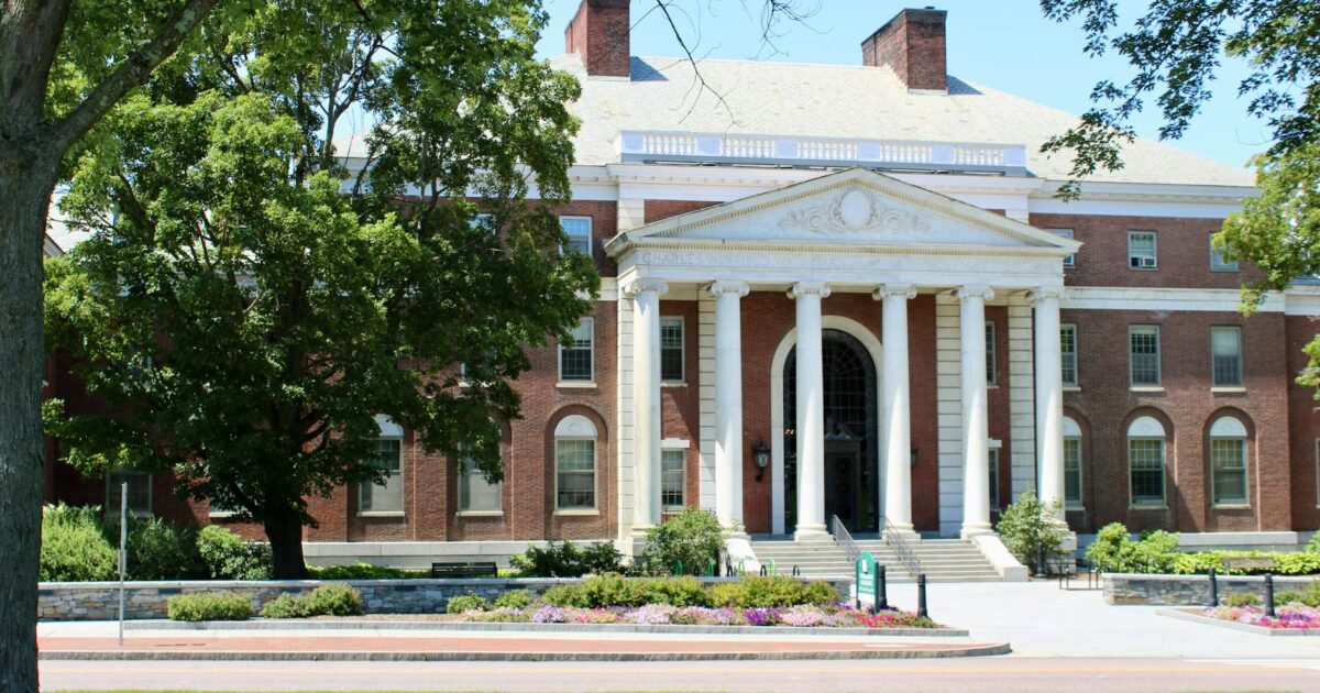 Canvas Molloy: Enhancing Education with Digital Tools (2026)