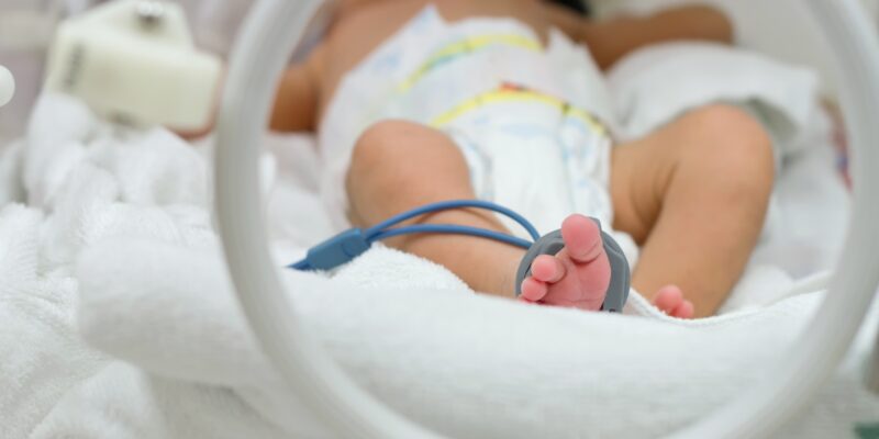 Neosure Formula: Essential Guide for Premature Baby Nutrition 2026