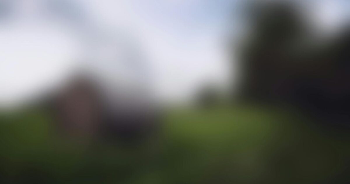 Stable Diffusion: Your Guide to AI Image Generation