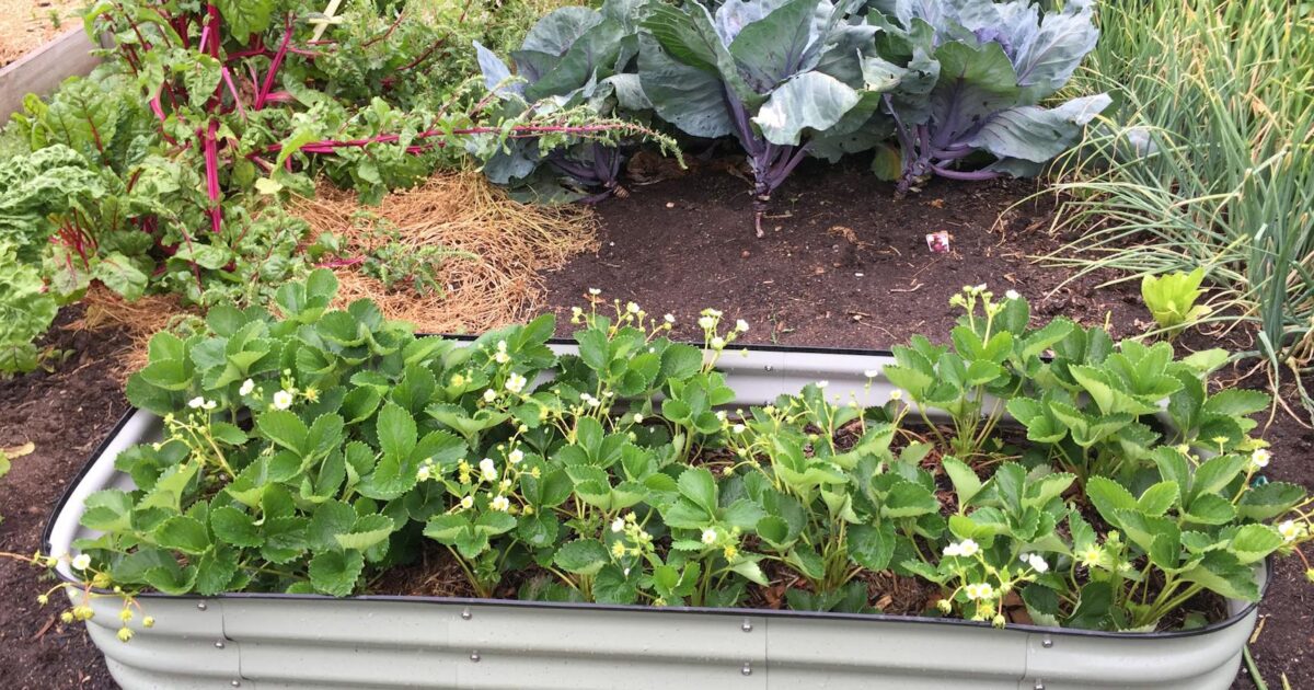 Steelcraft Garden Grove: Your 2026 Guide & Honest Review