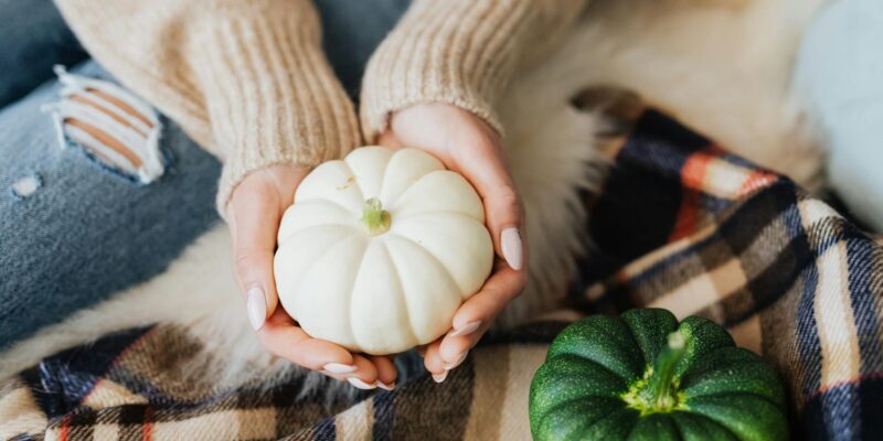 White Pumpkins: Your Ultimate Guide to Gorgeous Fall Decor 2026
