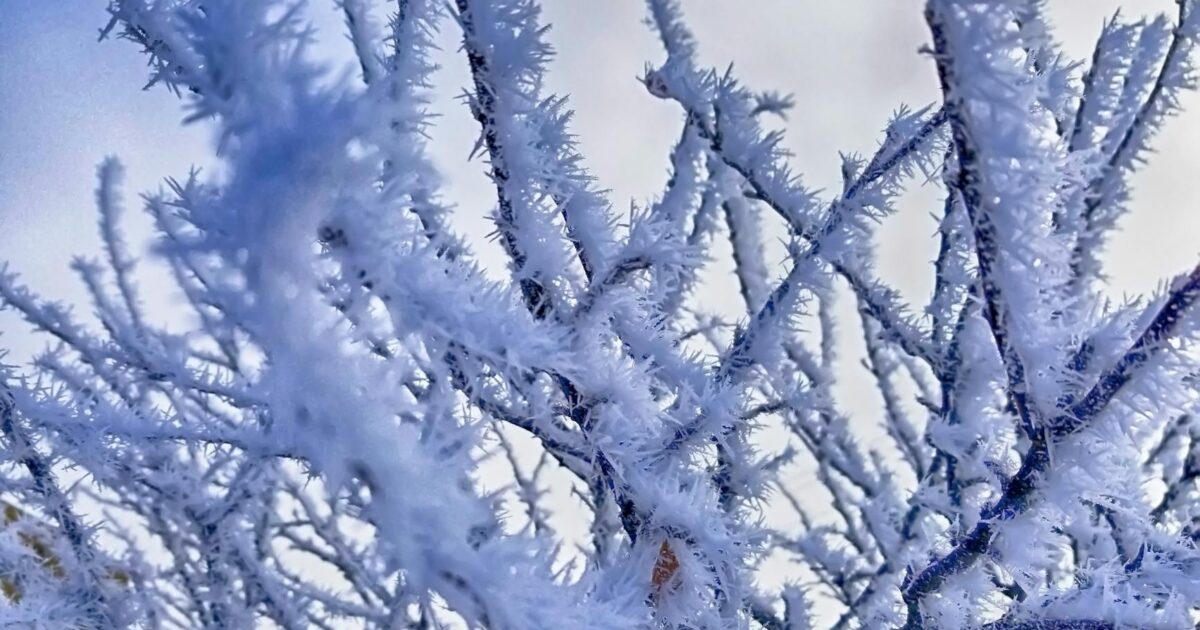 Ice Blockage: Thawing, Prevention & Repair Guide 2026