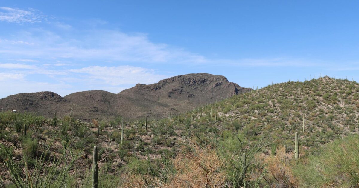 Area Code 928: Your Arizona Guide (2026 Update)
