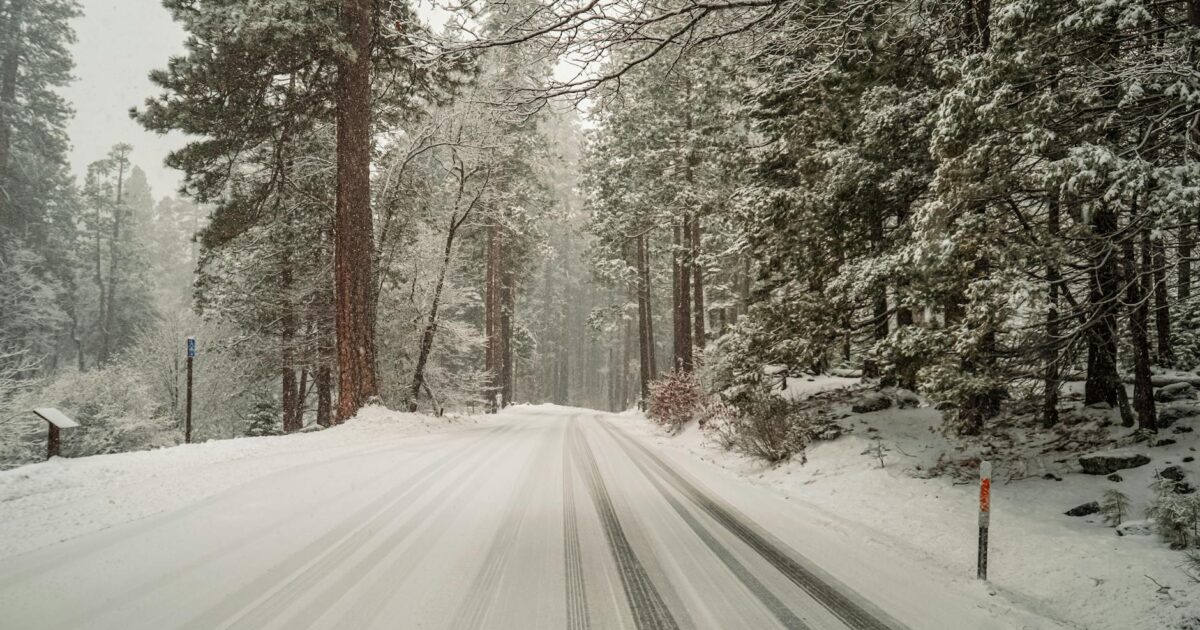 December in California: Your Guide