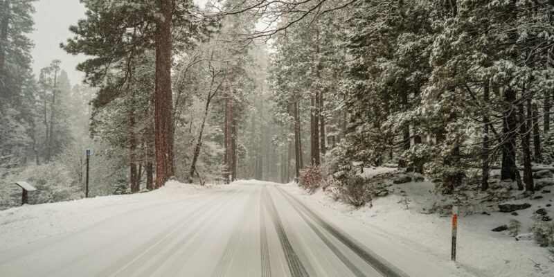 December in California: Your Guide