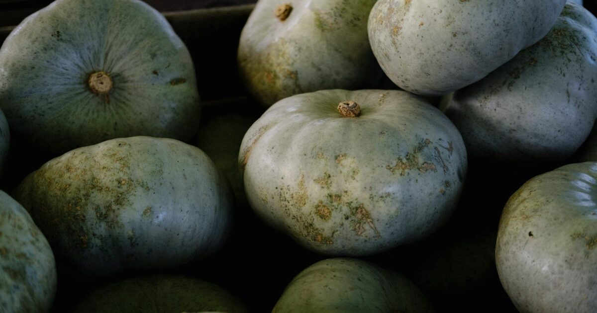 Chilacayote: Your Guide to This Unique Squash
