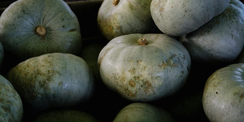 Chilacayote: Your Guide to This Unique Squash