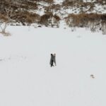 couple eloping beach