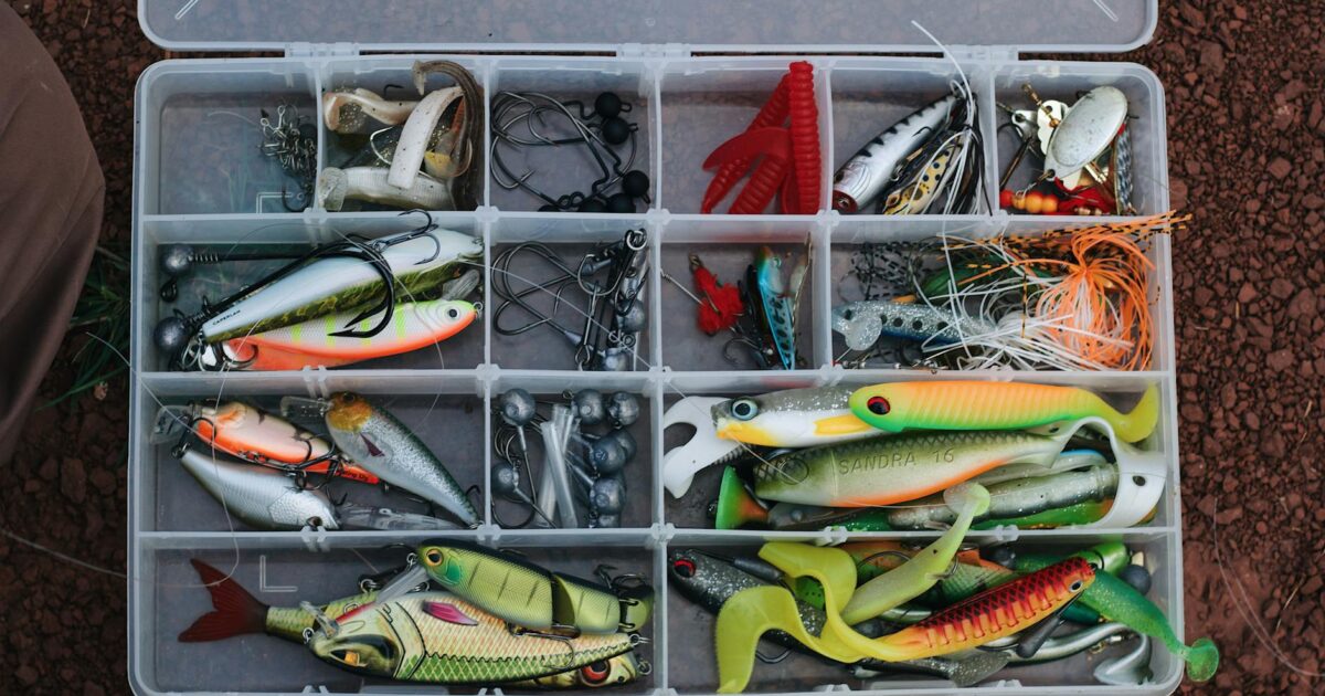 Crankbait Fishing: Your Complete 2026 Guide