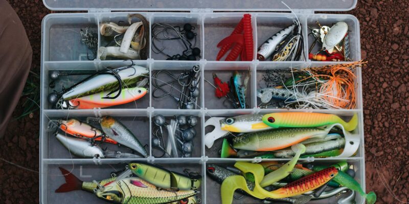 Crankbait Fishing: Your Complete Guide
