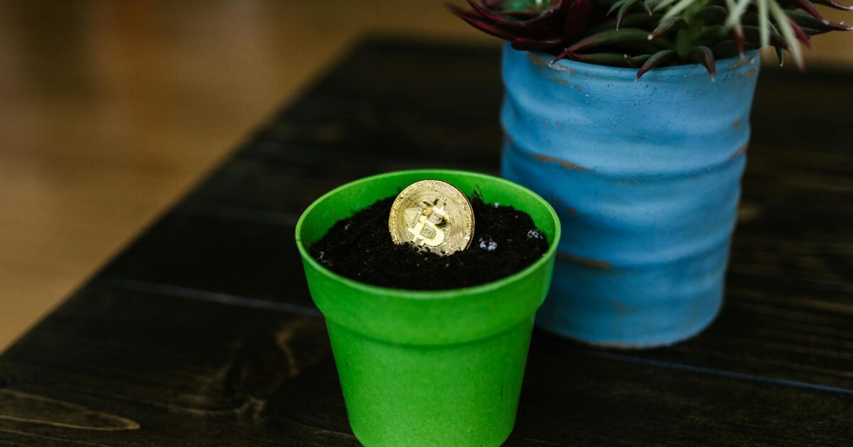 Crypto 30x.com: Your 2026 Guide to Potential Crypto Gains