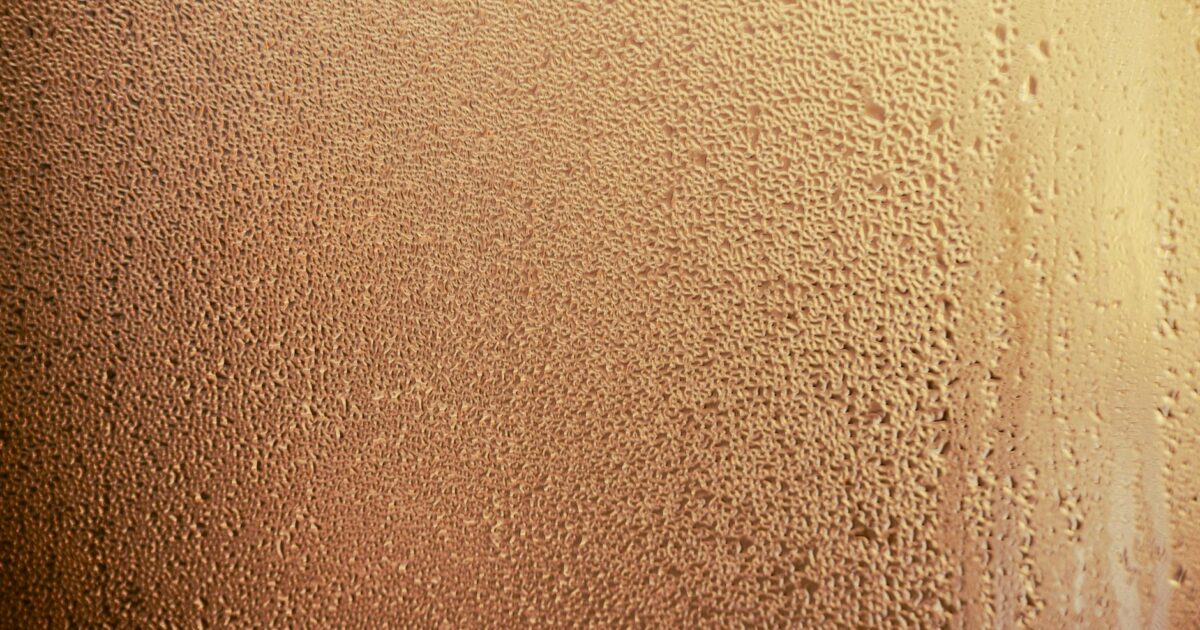 Dehumidifier Black Mold Guide