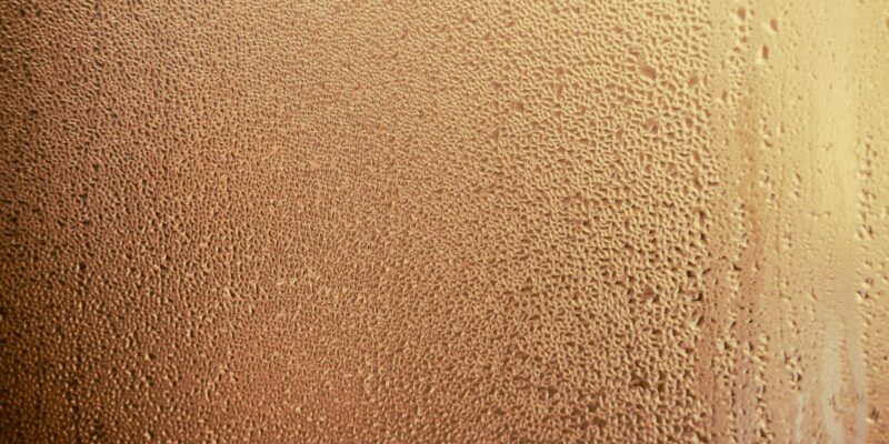 Dehumidifier Black Mold Guide