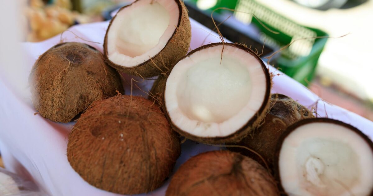 Desiccated Coconut: Your Ultimate Kitchen Staple in 2026