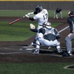 diamond turf backyard