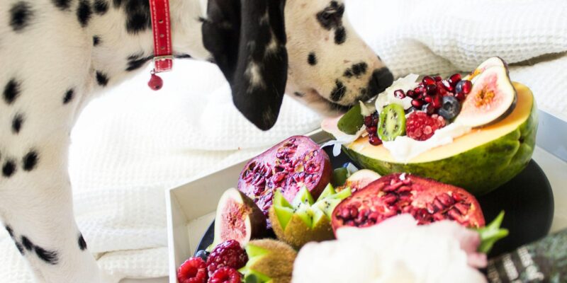 Can Dogs Eat Dates? A Vet-Approved Guide for 2026
