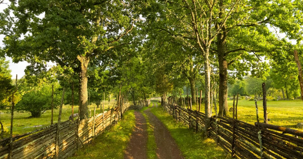 England in Swedish: Your Guide