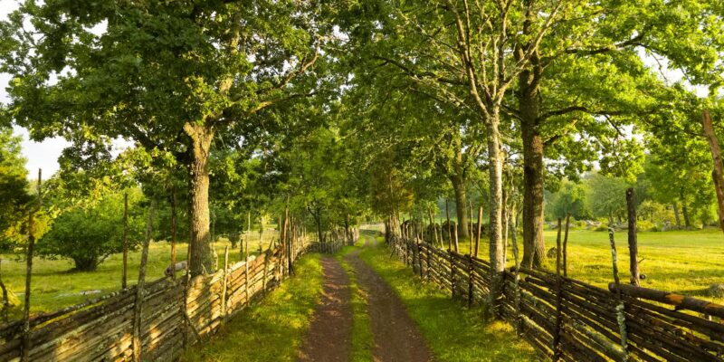 England in Swedish: Your Guide