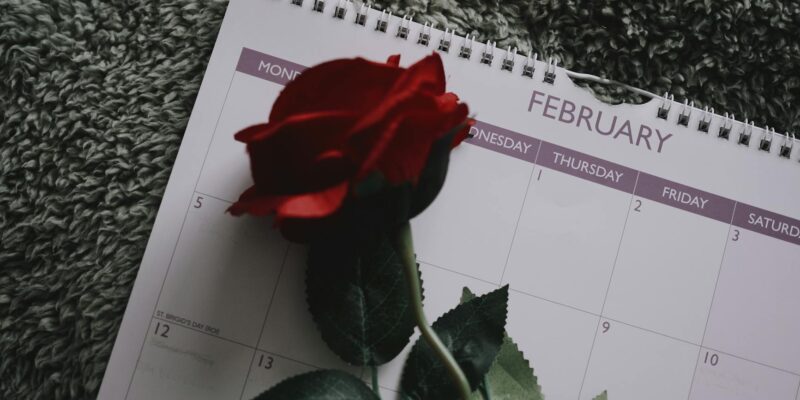 February Flowers: Blooms of Love & Joy