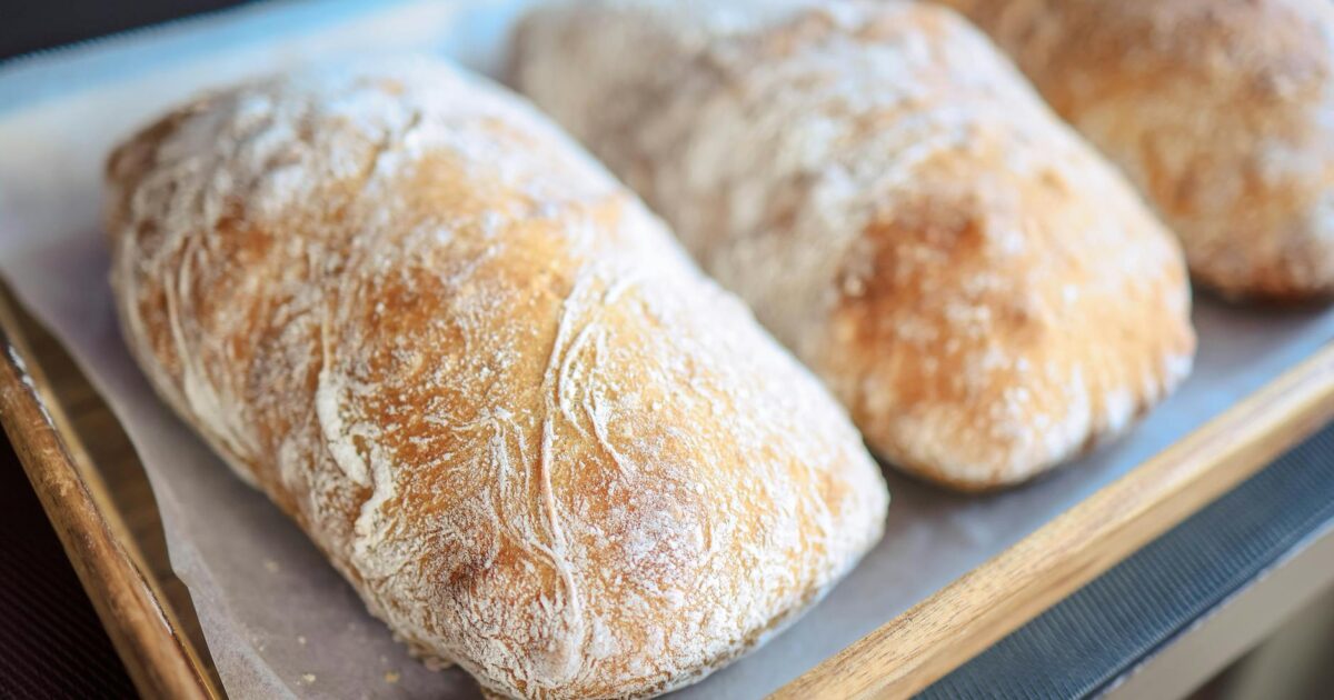 Galletas: Your Guide to Delicious Baking