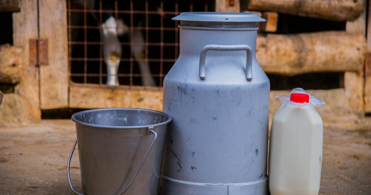 Gallon of Milk: Your Guide to Freshness