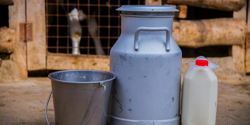 Gallon of Milk: Your Guide to Freshness