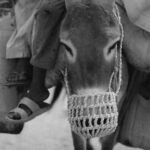 gallon water jug with bottles