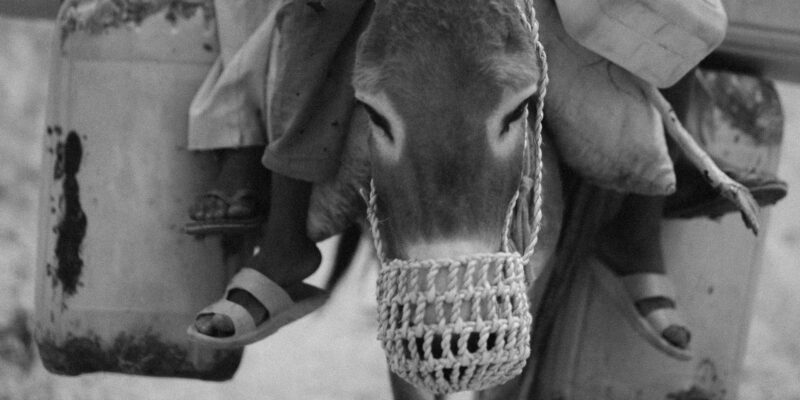 How Many Bottles of Water Are a Gallon?