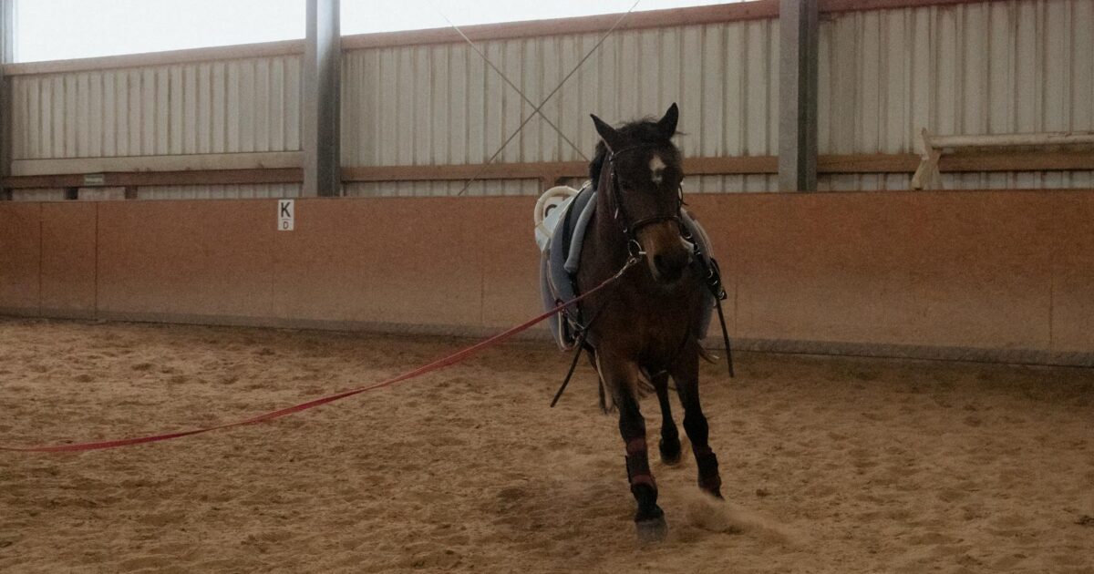 Piçada: Advanced Techniques for Experienced Horsemen in 2026