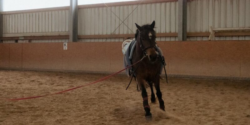 Piçada: Advanced Techniques for Experienced Horsemen in 2026