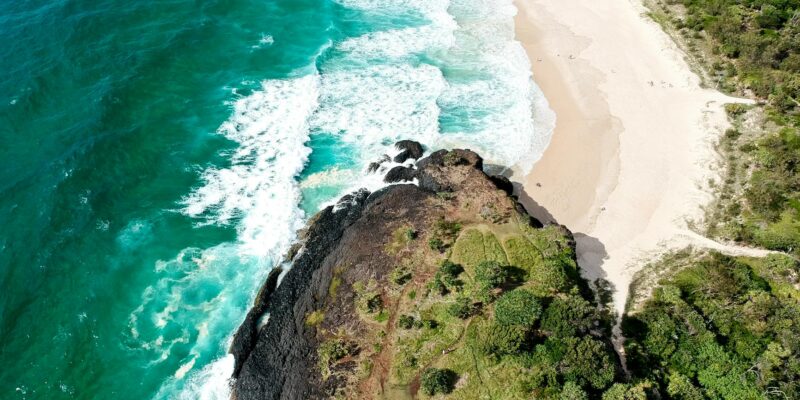 Indian Head Nickel with Buffalo: Value Guide