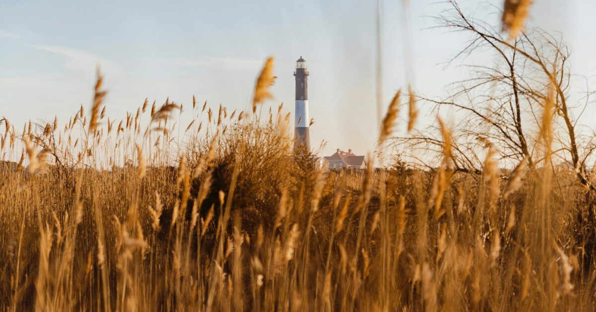 Area Code 631 Long Island: Your Guide to Suffolk County Numbers