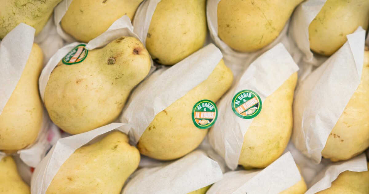 Navigator Pear: Your Ultimate Guide (2026 Update)