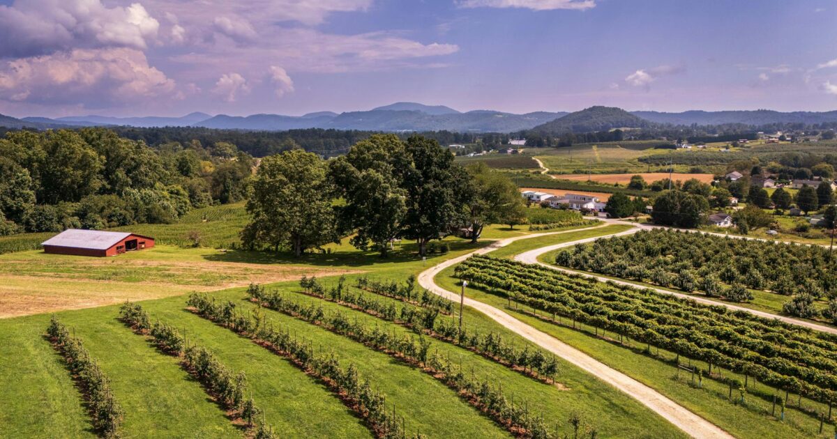 Area Code 336: Your 2026 Guide to North Carolina’s Piedmont Triad