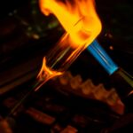 Peruvian Torch cactus