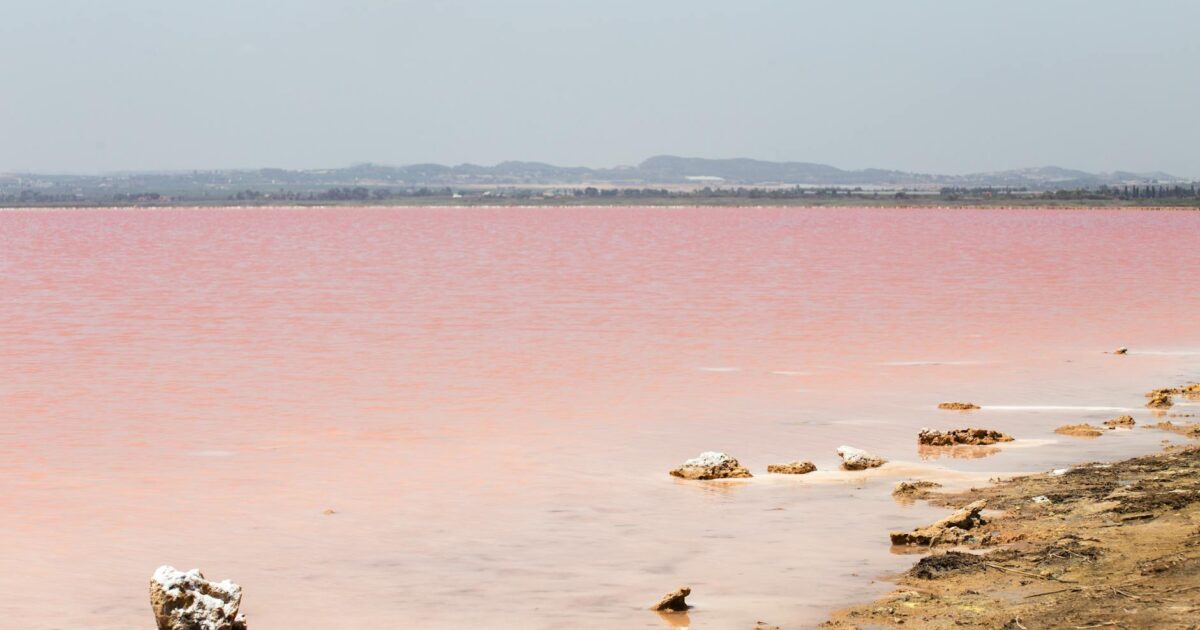 Area Code 801: Your Guide to Utah’s Historic Phone Prefix