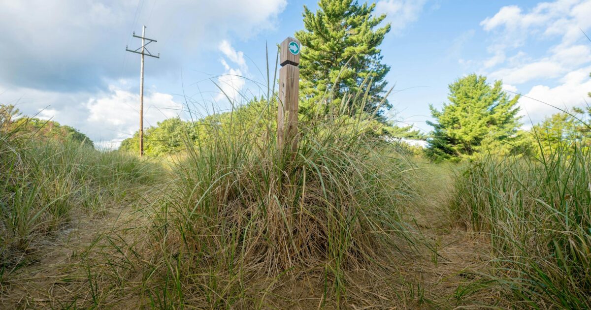Sandi Toksvig: Your Guide to Her Work & Impact
