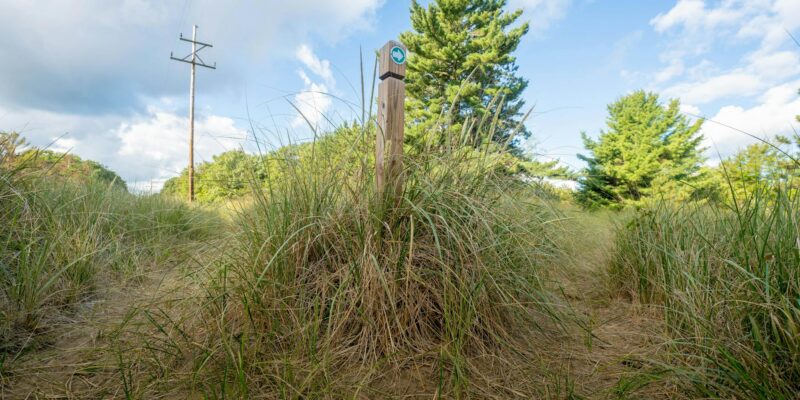 Sandi Toksvig: Your Guide to Her Work & Impact