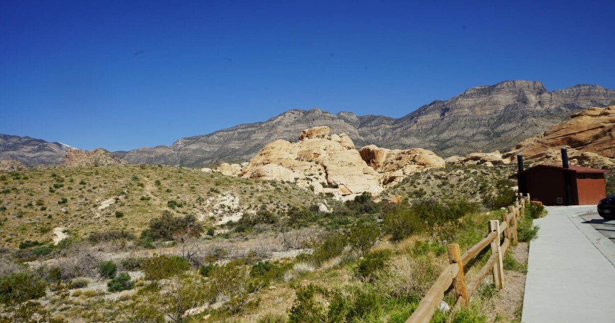 725 Phone Code: Your Essential Southern Nevada Guide (2026)