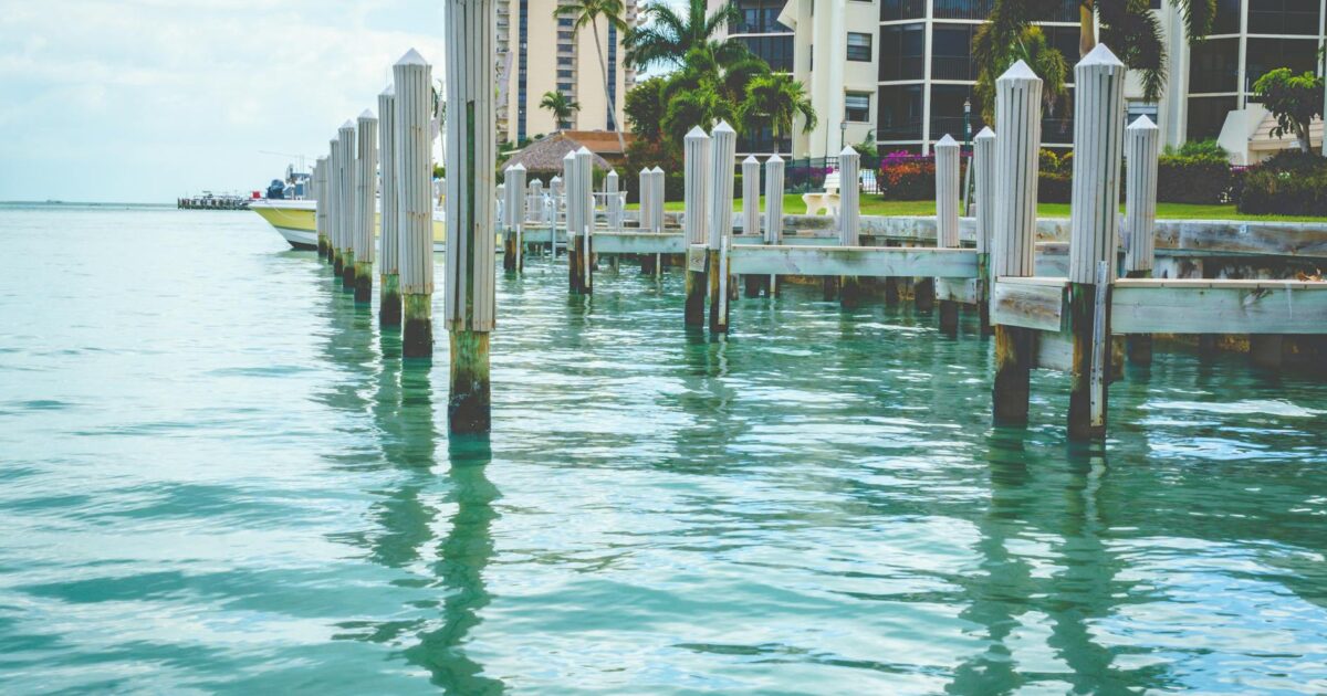 239 Area Code: Your Ultimate Southwest Florida Guide (2026)